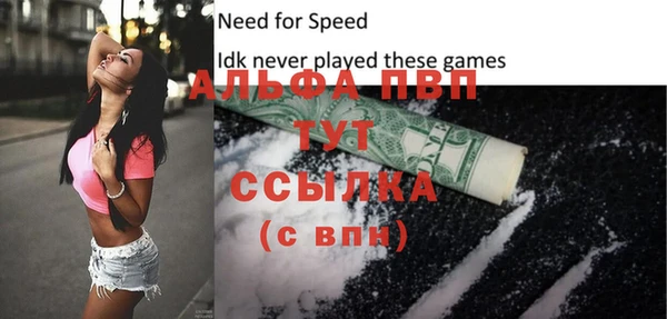 крисы Переславль-Залесский