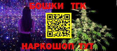 дмт Бийск