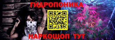 дмт Бийск