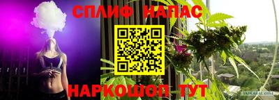 МДПВ Абакан