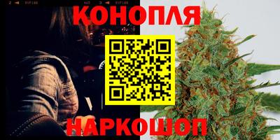 дмт Бийск