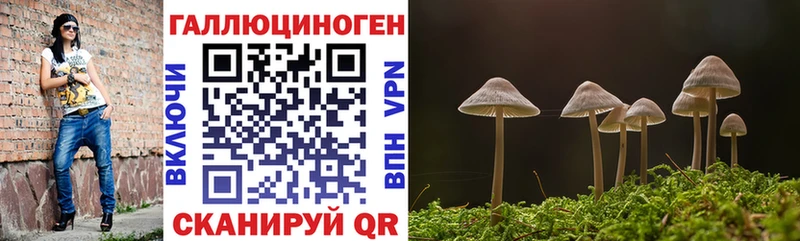сайты даркнета состав  Губкинский  Псилоцибиновые грибы Psilocybine cubensis  дарнет шоп 