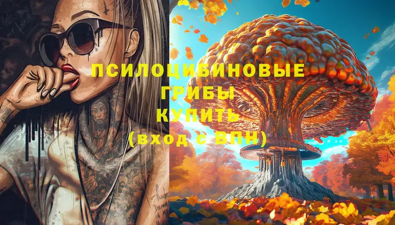 kraken tor  Губкинский  Галлюциногенные грибы MAGIC MUSHROOMS  закладка 