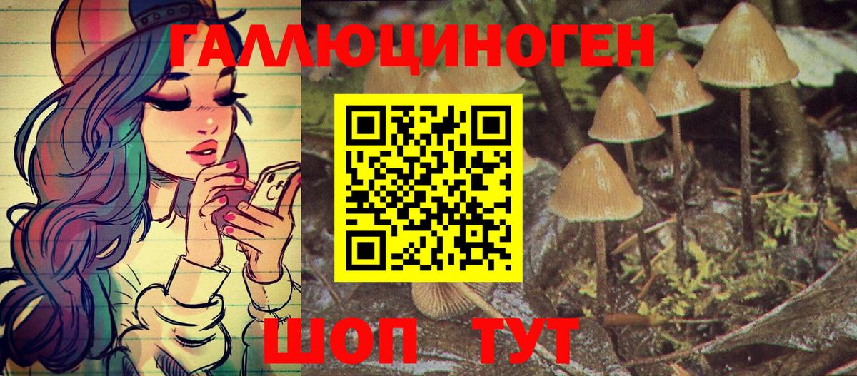 Галлюциногенные грибы мухоморы Губкинский