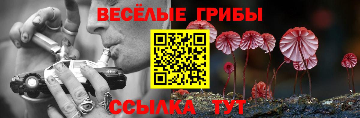 Губкинский  Галлюциногенные грибы Magic Shrooms  Вход с VPN 