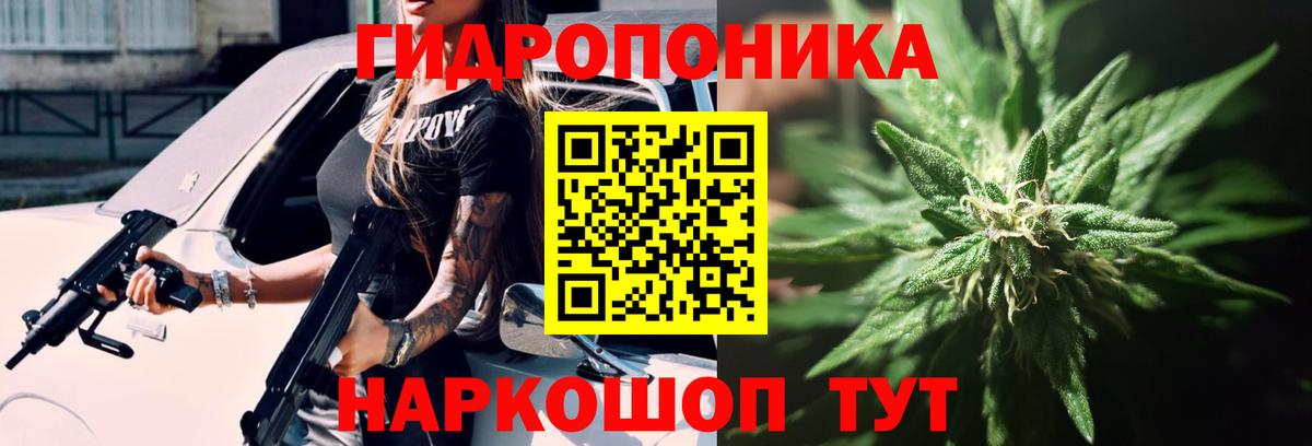 МАРИХУАНА план  Вход с VPN  Губкинский  Бошки марихуана SATIVA & INDICA  Канабис VHQ  Шишки марихуана ГИДРОПОН 