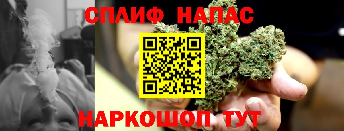 Канабис конопля Губкинский